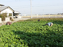20091030_01.jpg