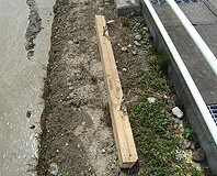 20100617_07.jpg