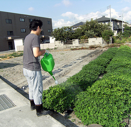 20100828水遣り.jpg