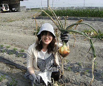 2010_0612（収穫玉葱：）.gif