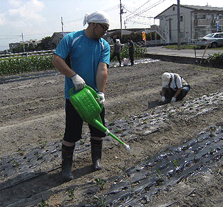 2010_0612（落花生水遣り）.gif