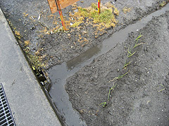 20100326-2.jpg