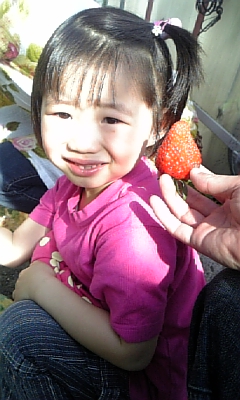 苺おおきさ.jpg