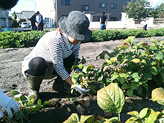 100918_03.jpg